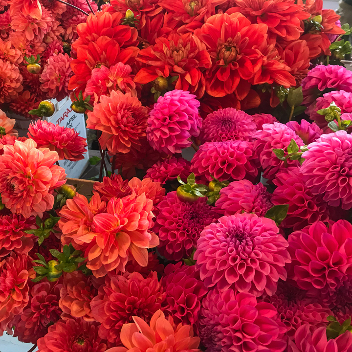 Flowers at Pike Place Market in Seattle Washington